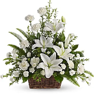 Whispers of Ivory (FGB79) - Flowers Gifts and Balloons