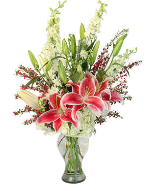 DEEPLY DEDICATED (FGB23) - Flowers Gifts and Balloons