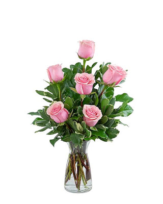 Half Dozen Pink Roses (FG322) - Flowers Gifts and Balloons