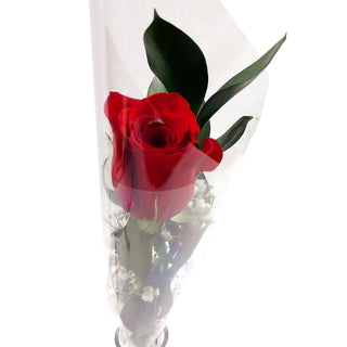 1 red rose wrapped and tied with ribbon. (FGB326) - Flowers Gifts and Balloons