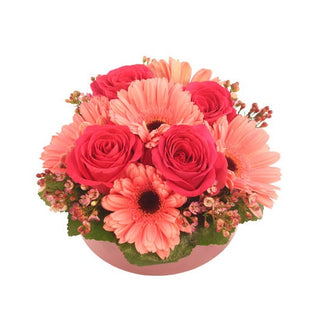 BASHFUL BLOSSOMS (FGB3) - Flowers Gifts and Balloons