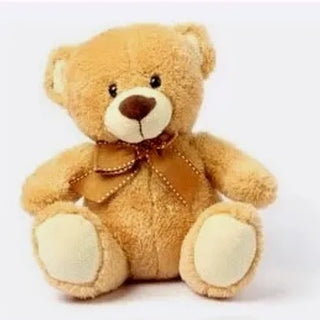 Teddy Bear (FGB150) - Flowers Gifts and Balloons
