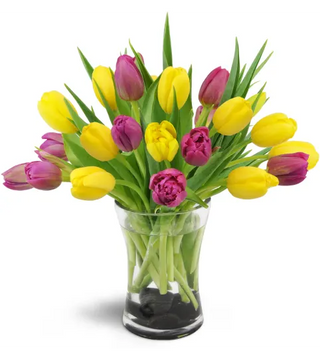 Spring Splendor   (FGB55) - Flowers Gifts and Balloons