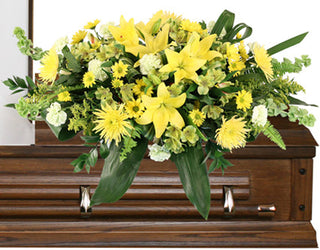 MOURNING SUNSHINE  (FGB42) - Flowers Gifts and Balloons