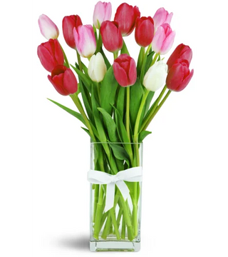 Sweet Tulips (FGB108) - Flowers Gifts and Balloons