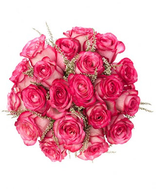 PINK PASSION ROSES  (FGB46) - Flowers Gifts and Balloons