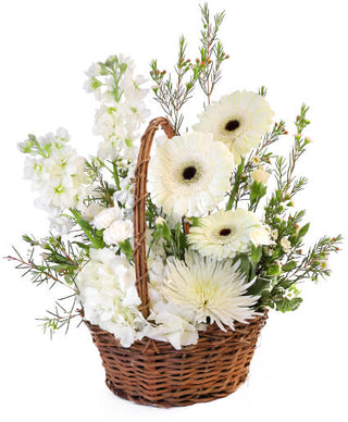 PRISTINE WHITE BASKET  (FGB48) - Flowers Gifts and Balloons