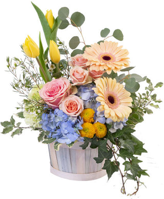 SPRING MORNING BASKET  (FGB54) - Flowers Gifts and Balloons