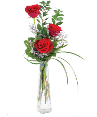 THREE FIERY ROSES  (FGB61) - Flowers Gifts and Balloons