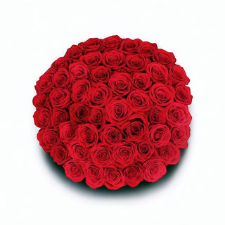 50 Magnificent Red Roses (FGB44) - Flowers Gifts and Balloons