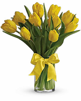 Sunshine in a Vase (FGB70) - Flowers Gifts and Balloons