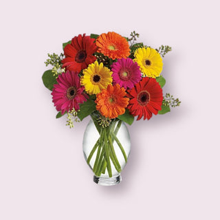 Vibrant Splendor  (FGB137) - Flowers Gifts and Balloons