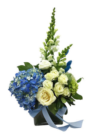 Harmony of Blues (FGB117) - Flowers Gifts and Balloons