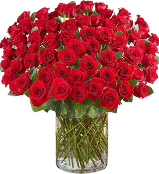 Premium Long Stem Red Roses (FGB146) - Flowers Gifts and Balloons