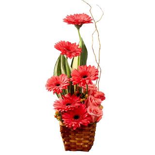 Coral Harmony (FGB141) - Flowers Gifts and Balloons