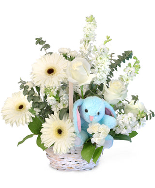 TINY BLUE BLESSING  (FGB62) - Flowers Gifts and Balloons